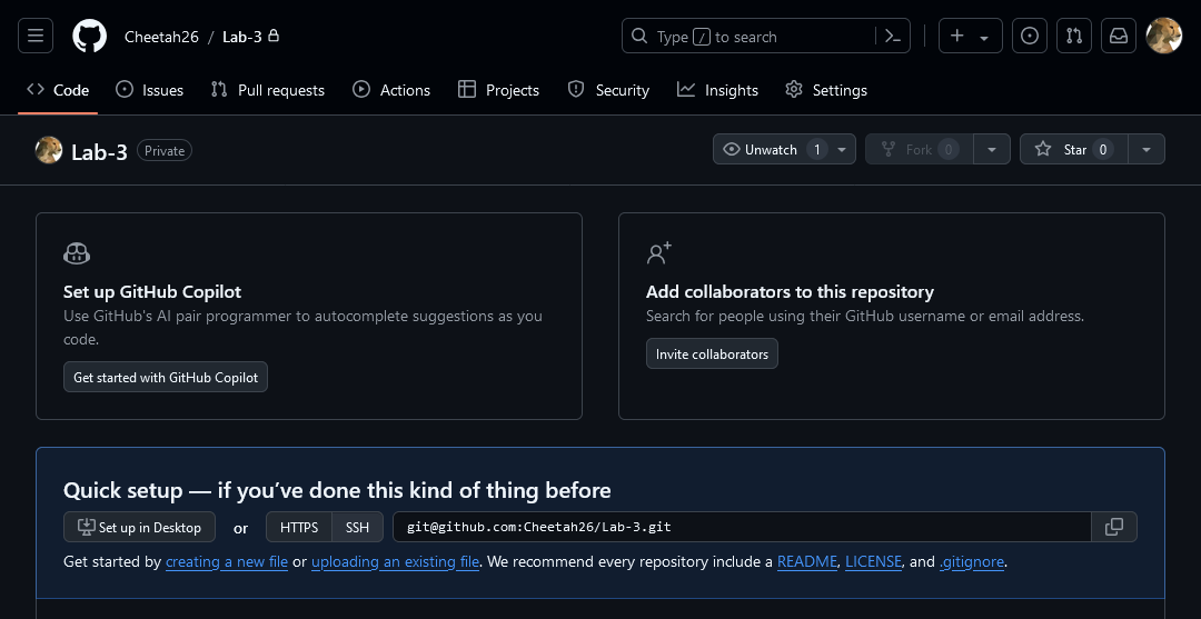 GitHub website showing the new empty repository